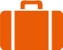 bagexpress_icona