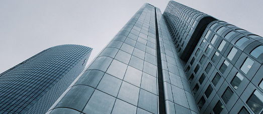immobiliarein